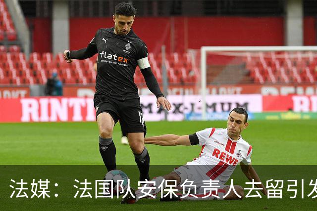 法媒：法国队安保负责人去留引发足协内斗