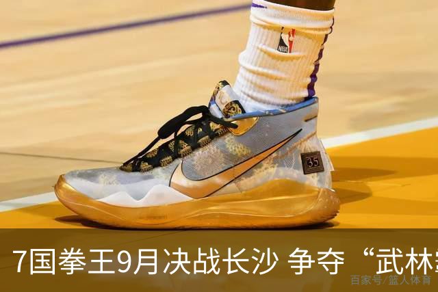 7国拳王9月决战长沙 争夺“武林霸主”
