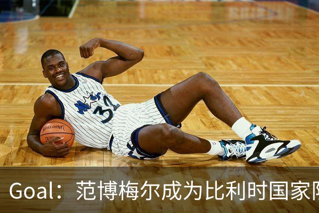 Goal：范博梅尔成为比利时国家队新帅头号人选